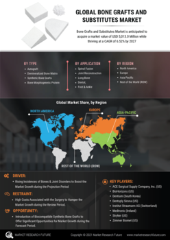 Bone Graft Substitutes Market