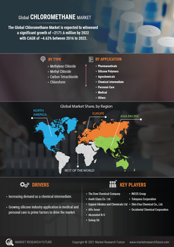 Chloromethane Market