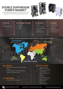 Double Diaphragm Pumps Market