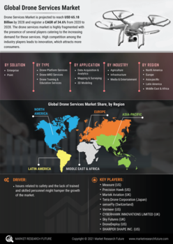 Drone Services Market