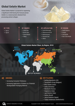 Gelatin Market
