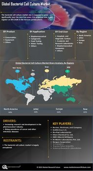 Bacterial Cell Culture Market