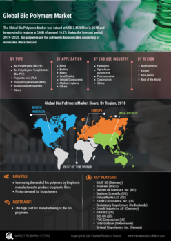 Bio Polymers Market