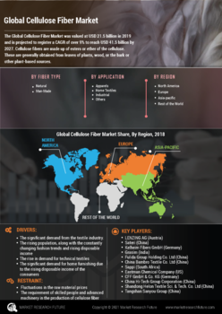  Cellulose Fiber Market