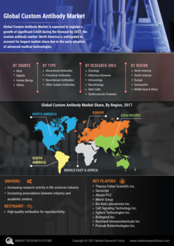 Custom Antibody Market