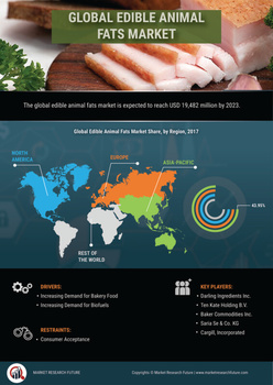 Edible Animal Fat Market