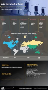 Electric Traction Motor Market