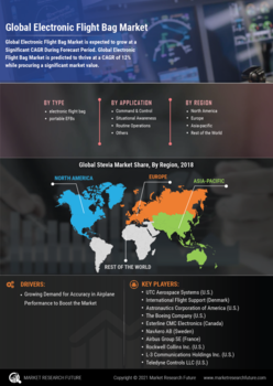 Electronic Flight Bag Market