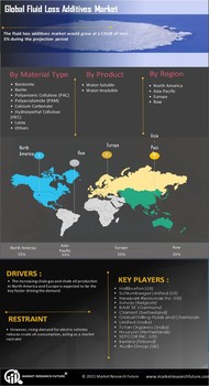 Fluid Loss Additives Market