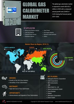 Gas Calorimeter Market