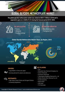 Glycidyl Methacrylate Market