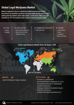 Legal Marijuana Market