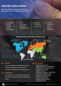 Micro Battery Market