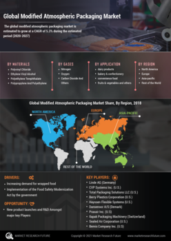 Modified Atmospheric Packaging Market