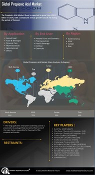 Propionic Acid Market