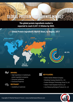 Protein Ingredients Market