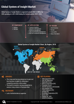 System Insight Market