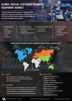 Virtual Customer Premises Equipment Market