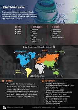 Xylene Market