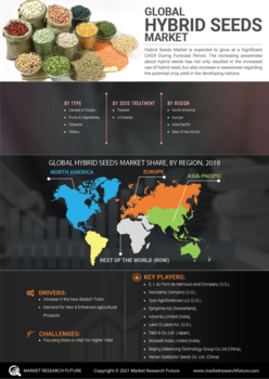 Hybrid Seeds Market