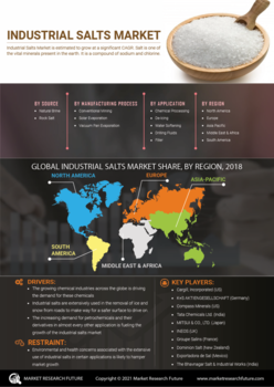 Industrial Salts Market