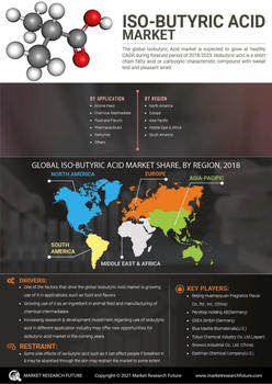 Isobutyric Acid Market