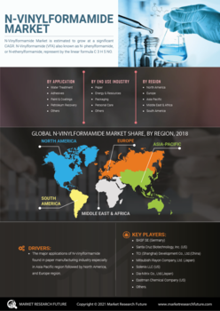 N Vinylformamide Market
