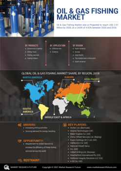 Oil Gas Fishing Market
