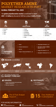 Polyether Amine Market