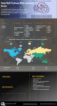 Wolff Parkinson White Syndrome Market