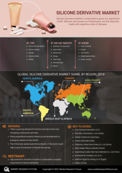 Silicone Derivative Market