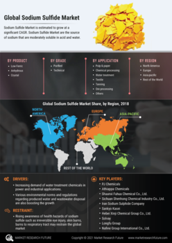 Sodium Sulfide Market