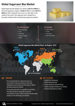 Sugarcane Wax Market