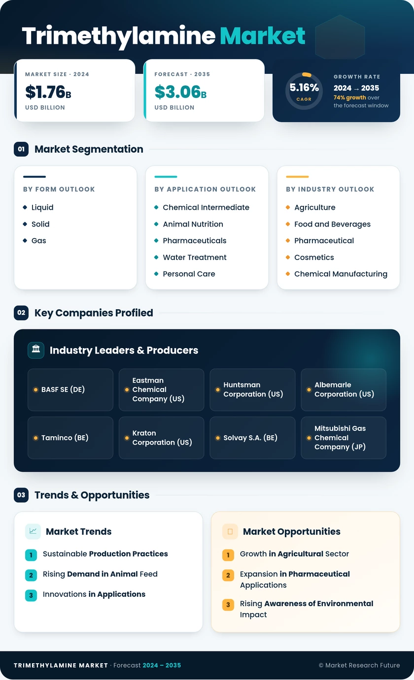 Trimethylamine Market Research Report - Global Forecast by 2035 Infographic