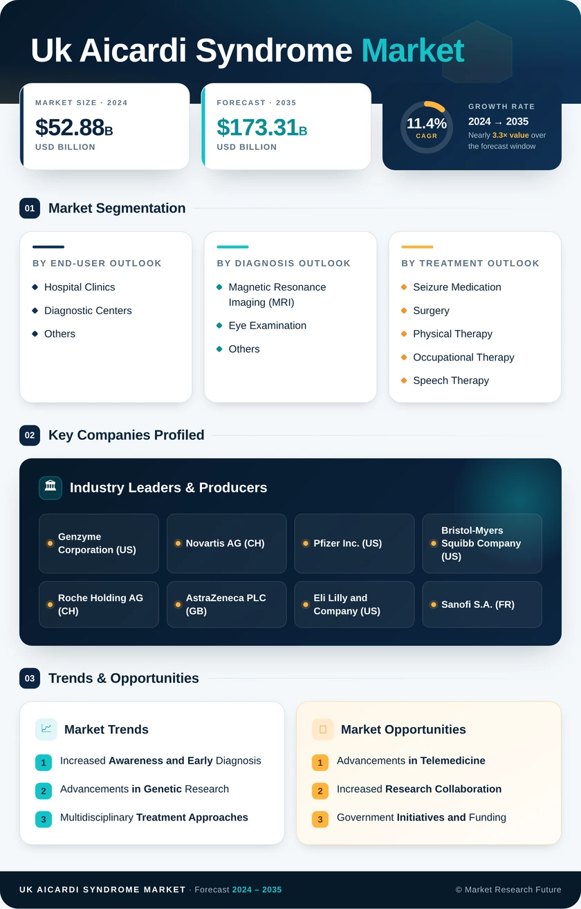 UK Aicardi Syndrome Market Research Report-Forecast to 2035 Infographic