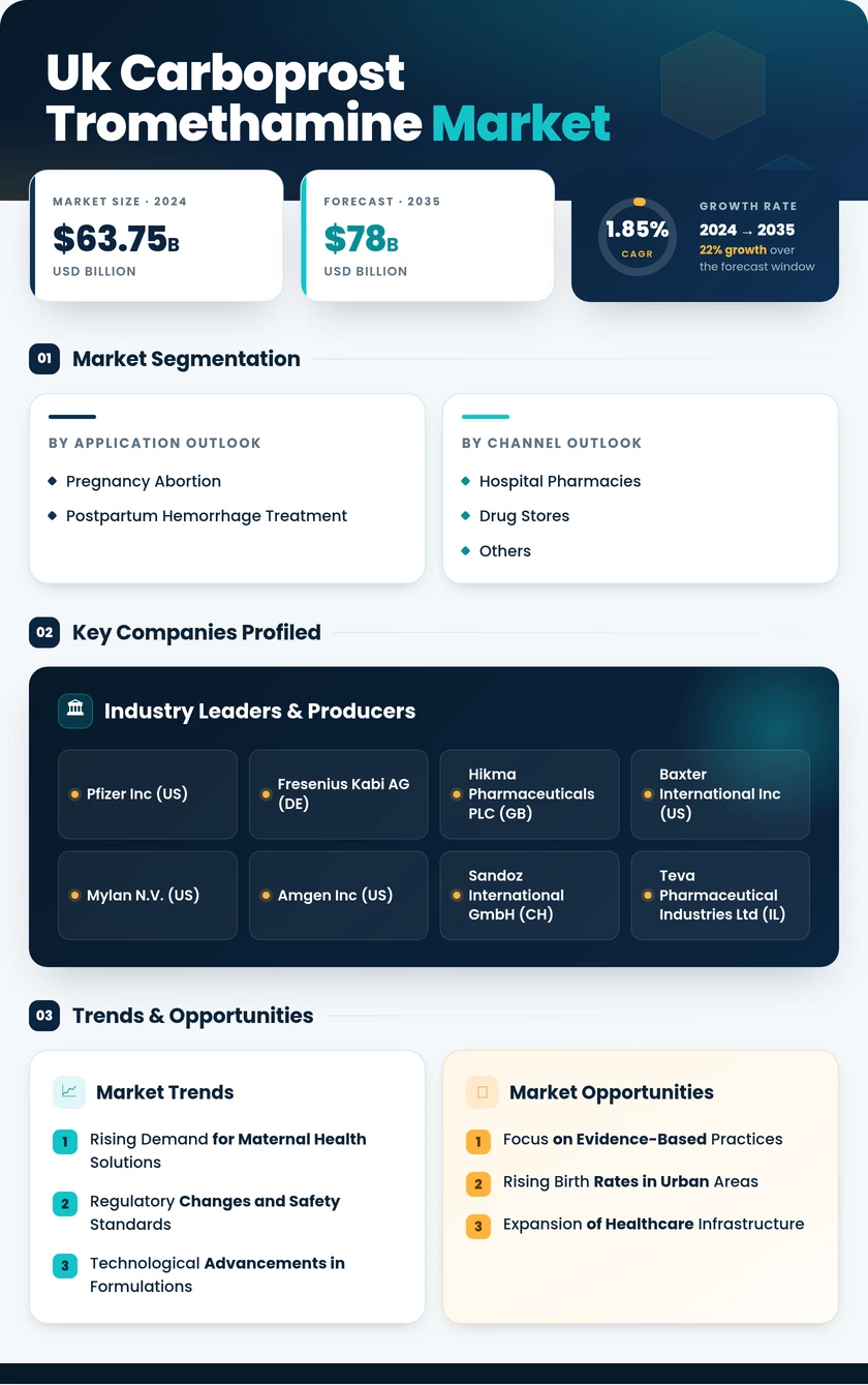 UK Carboprost Tromethamine Market Research Report- Forecast To 2035 Infographic