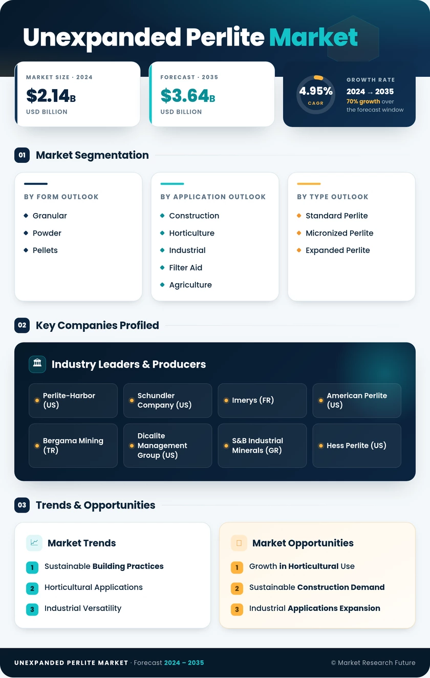 Unexpanded Perlite Market Research Report — Global Forecast till 2035 Infographic