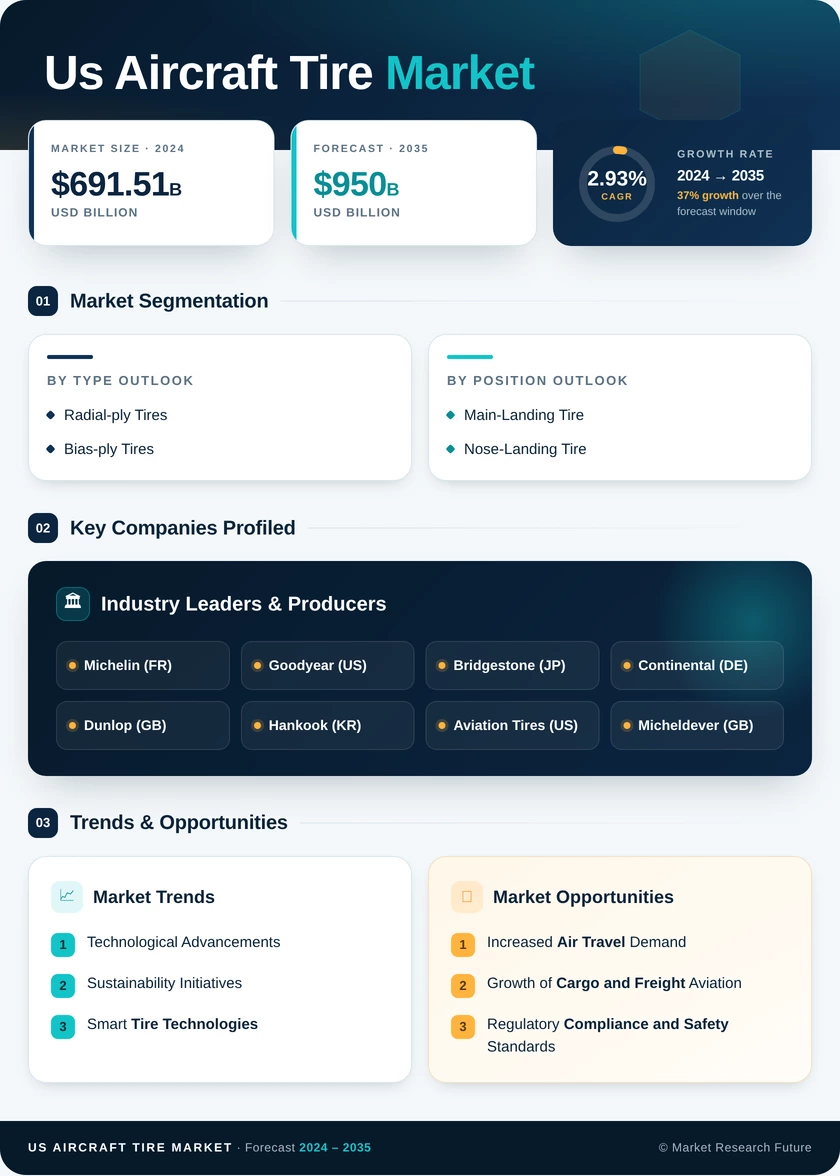 US Aircraft Tire Market Infographic