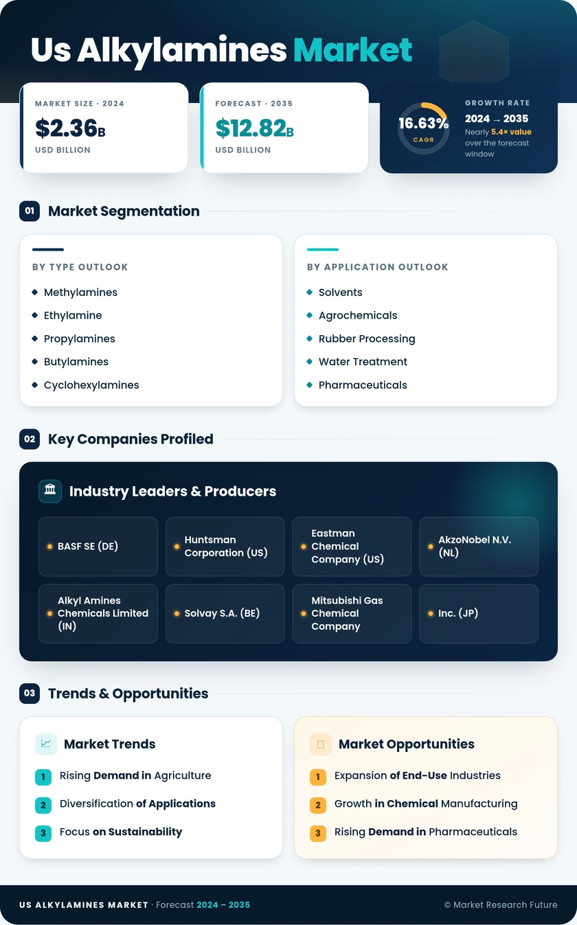 US Alkylamines Market Infographic