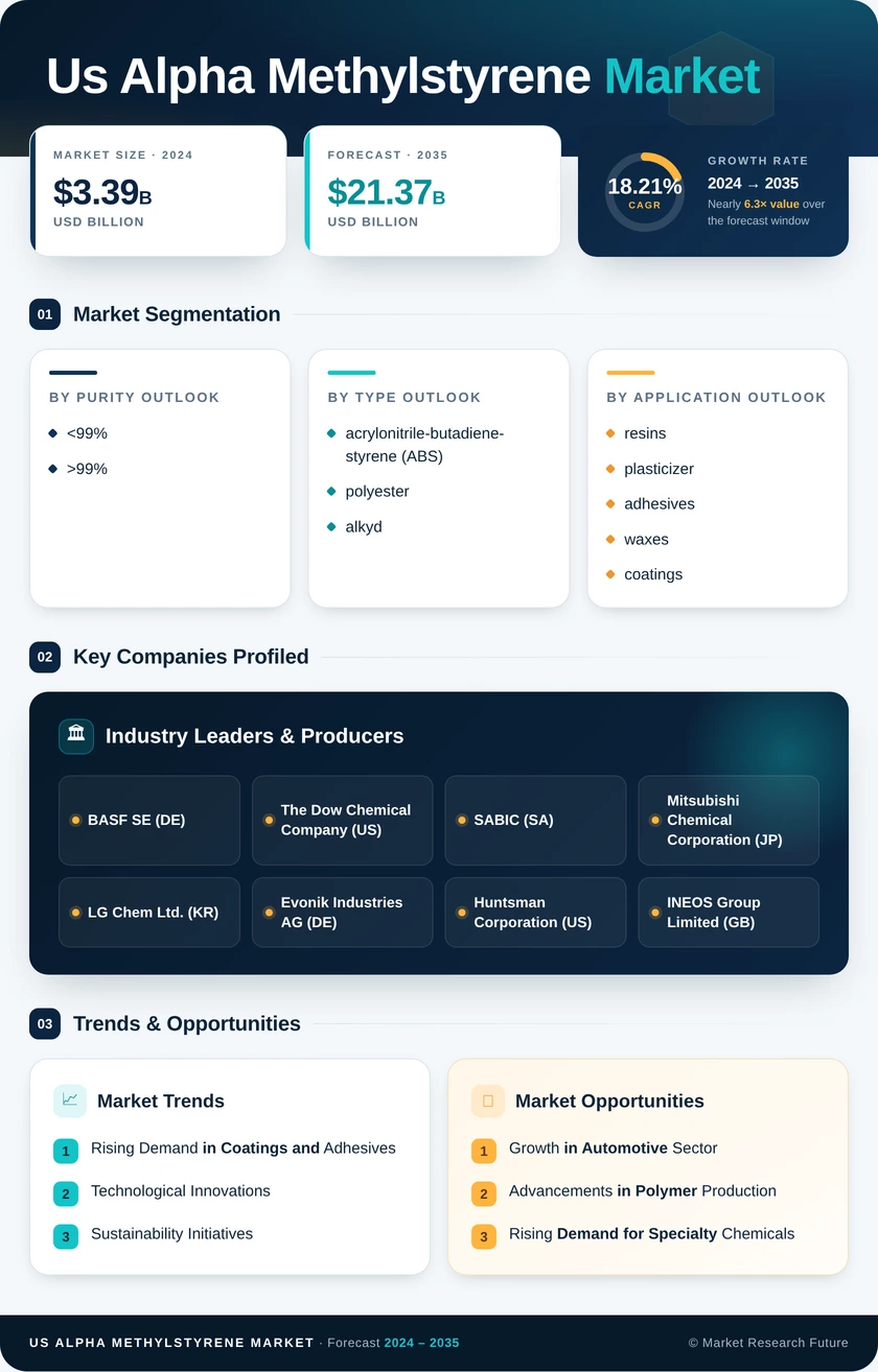 US Alpha Methylstyrene Market Infographic