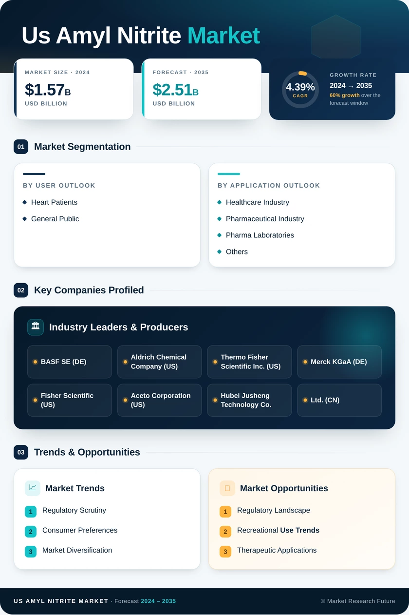 US Amyl Nitrite Market Research Report - Forecast till 2035 Infographic