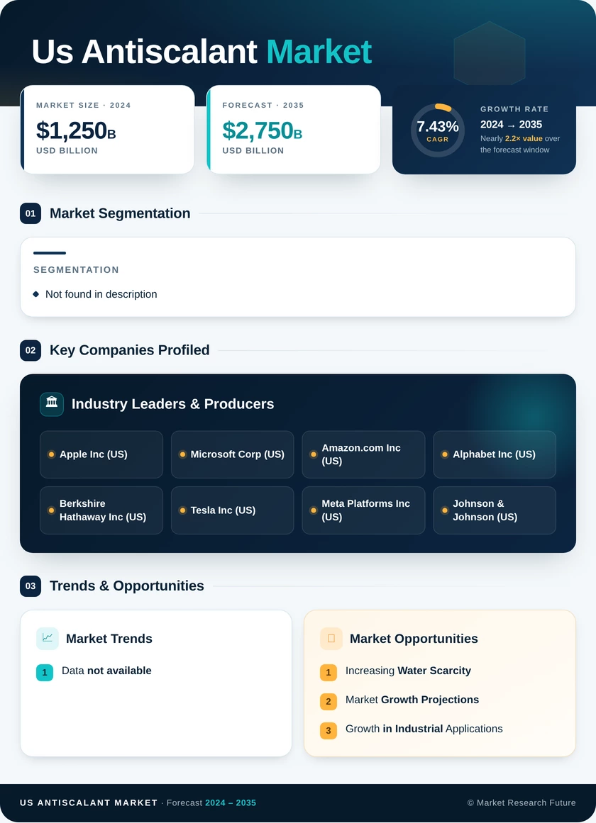 US Antiscalant Market Infographic