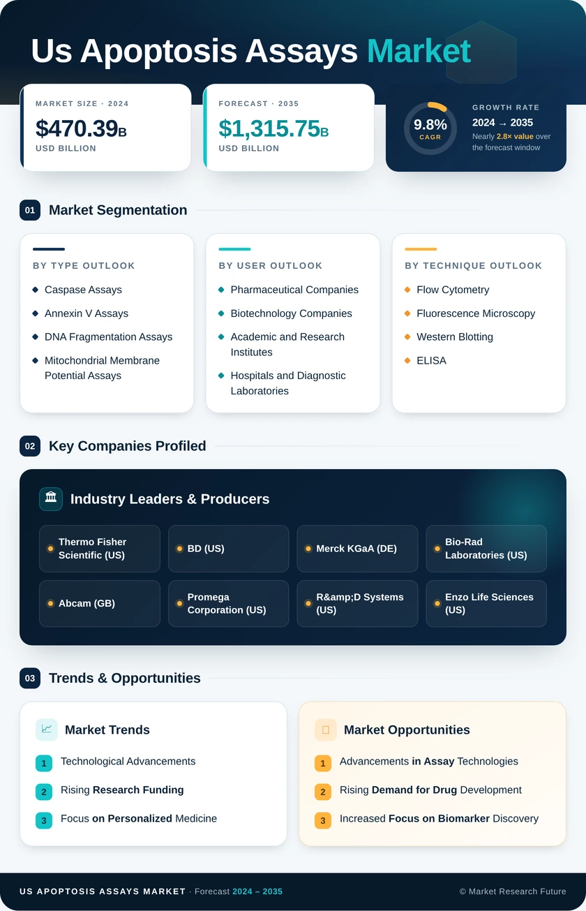 US Apoptosis Assays Market Infographic
