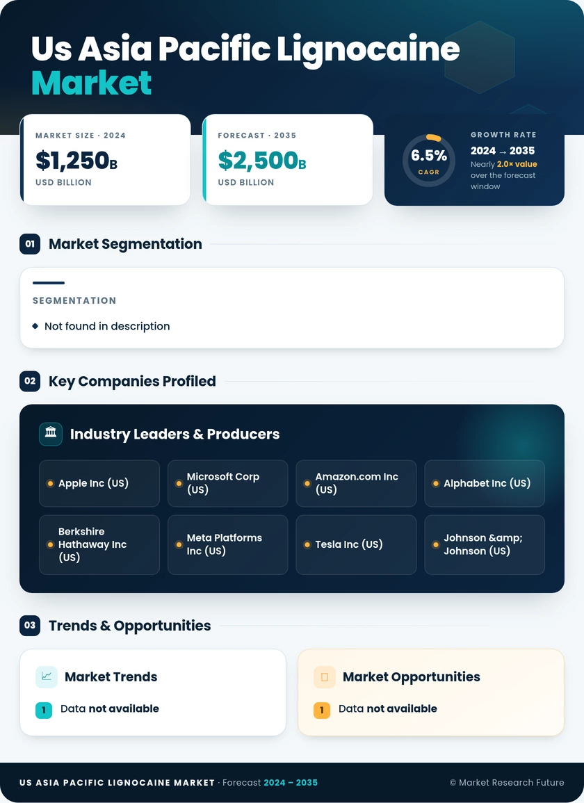 US Lignocaine Market Research Report- Forecast to 2035 Infographic