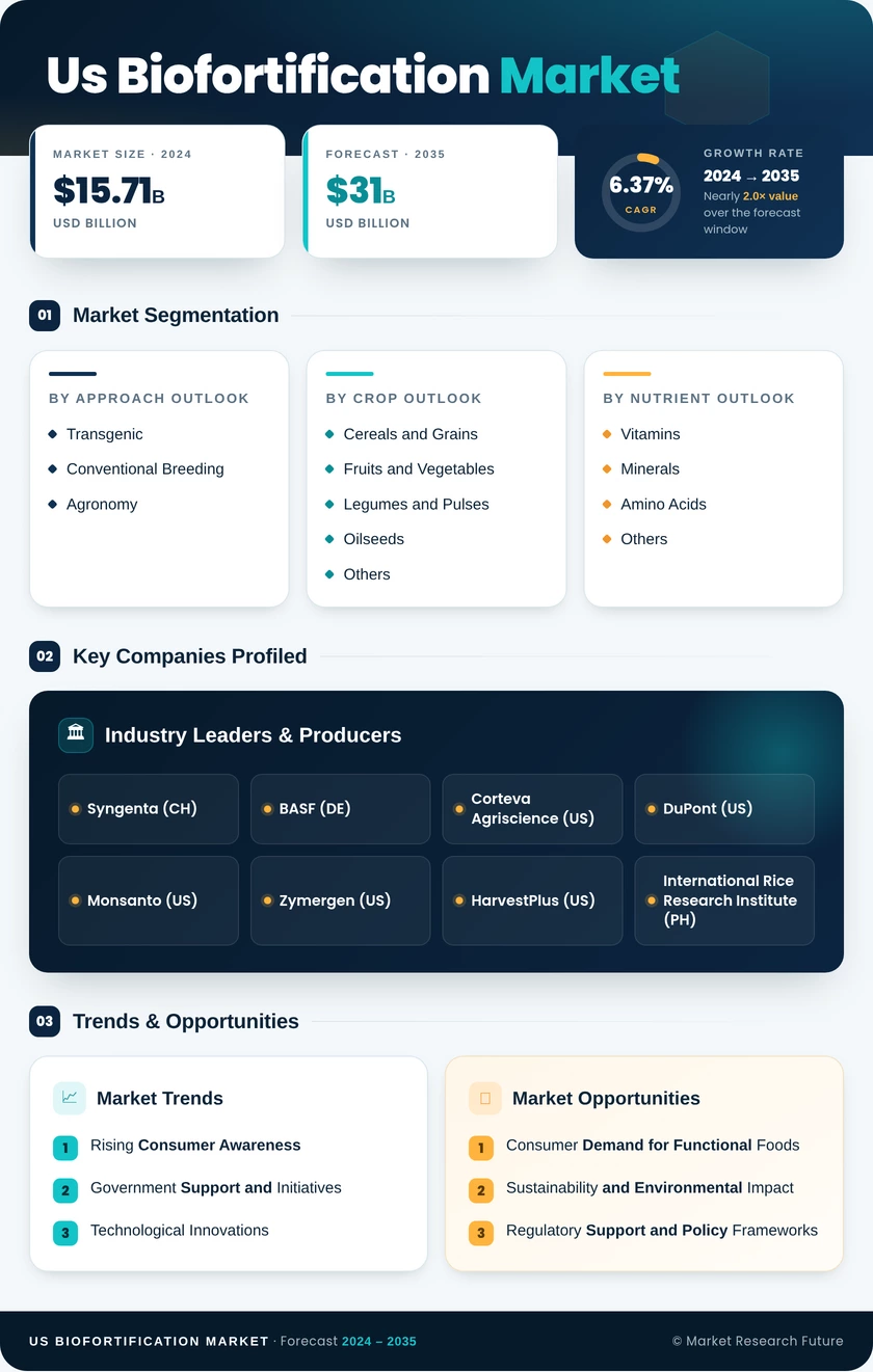 US Biofortification Market Research Report - Forecast Till 2035 Infographic
