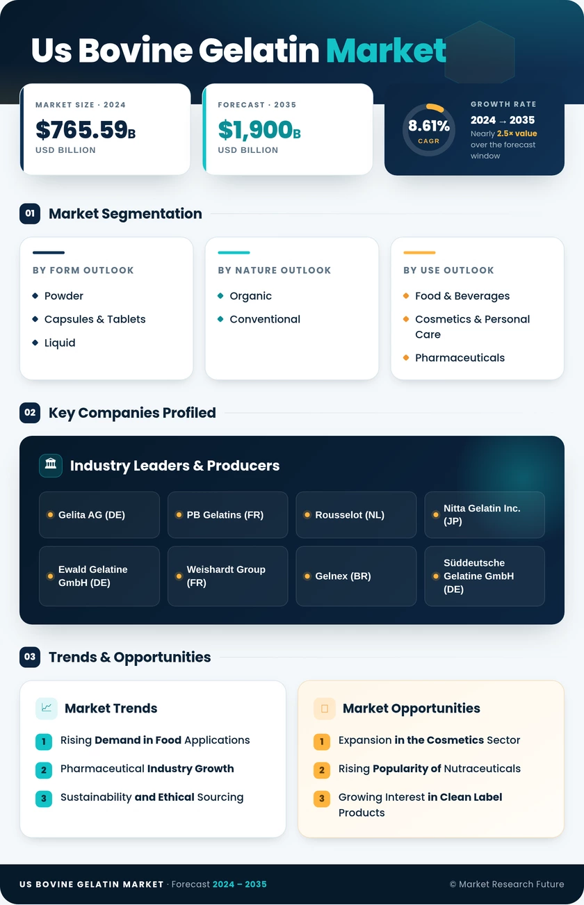 United States Bovine Gelatin Market Research Report—Forecast till 2035 Infographic