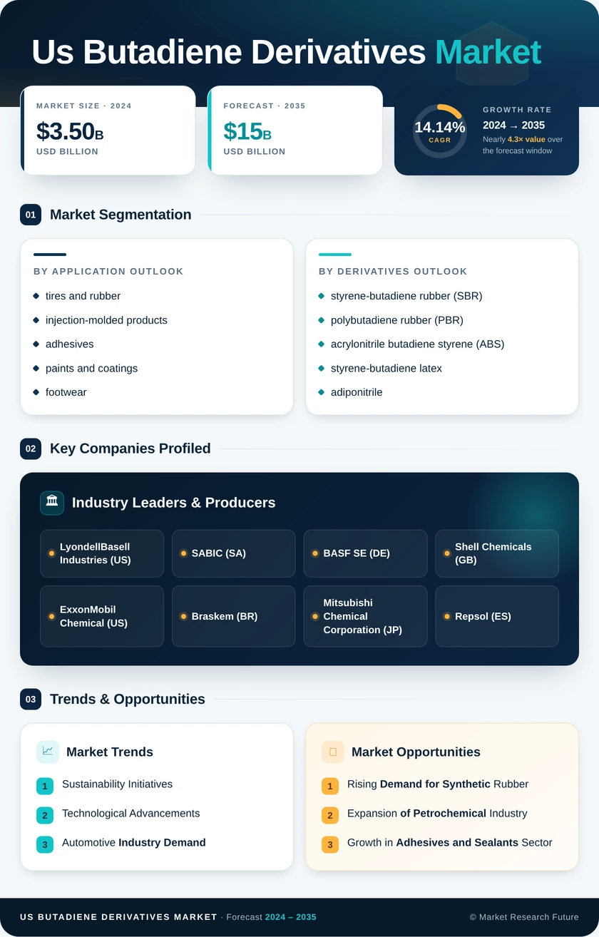 US Butadiene Derivatives Market Infographic