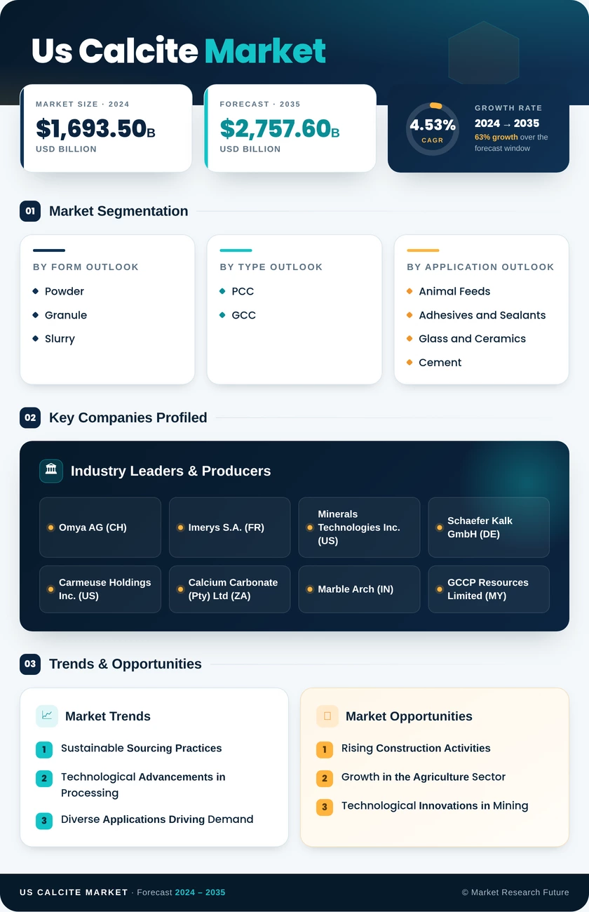 US Calcite Market Research Report - Forecast till 2035 Infographic