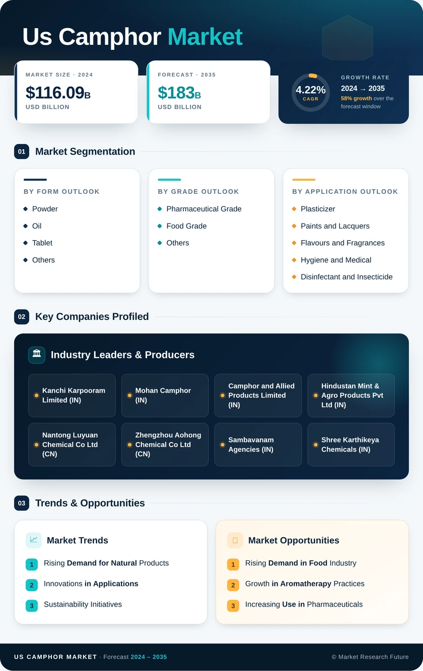 US Camphor Market Research Report - Forecast Report 2035 Infographic