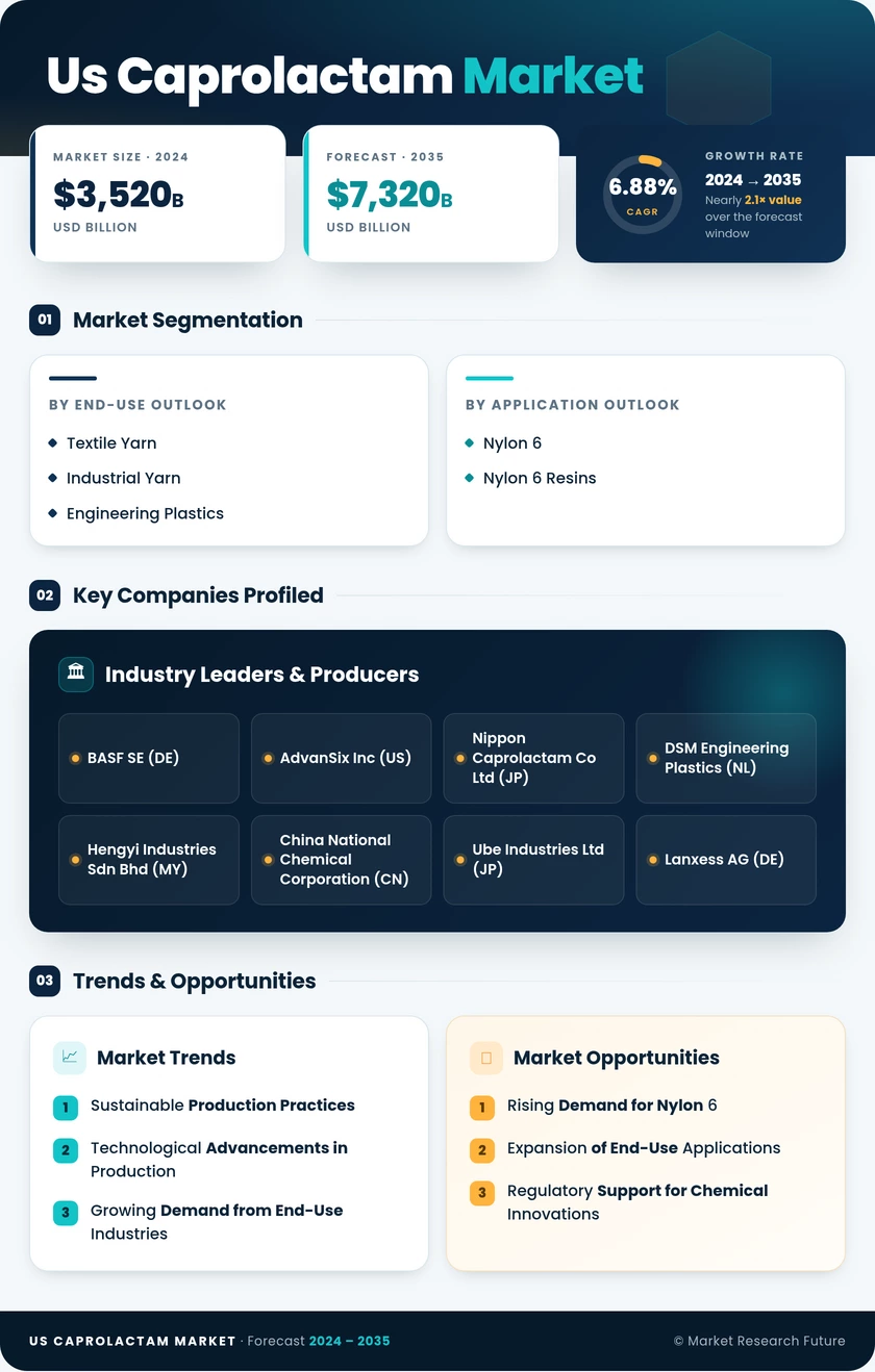 US Caprolactam Market Research Report - Forecast till 2035 Infographic
